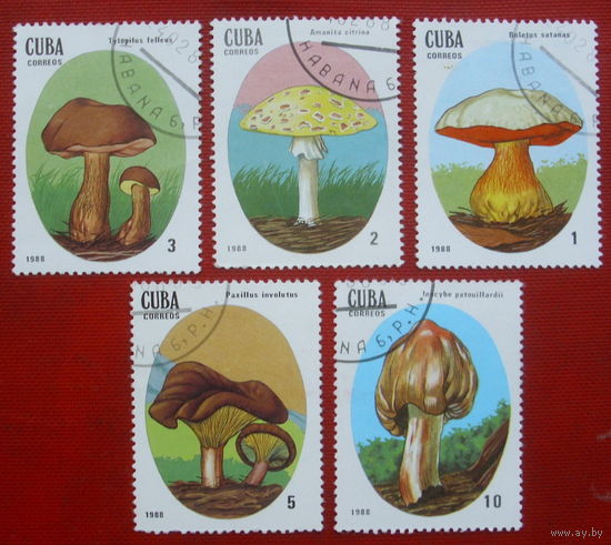 Куба. Грибы. ( 5 марок ) 1988 года. 10-13.