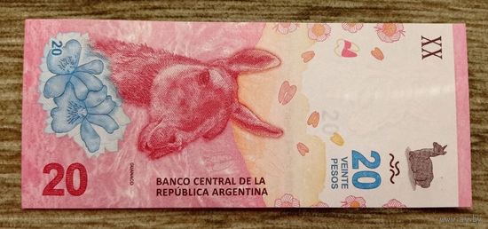 Werty71 Аргентина 20 песо 2017 (2020) UNC банкнота