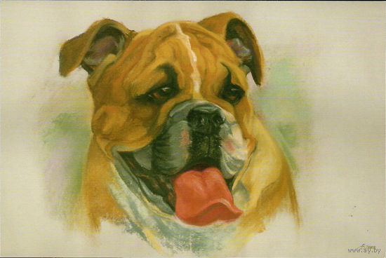 Открытка "Собаки"