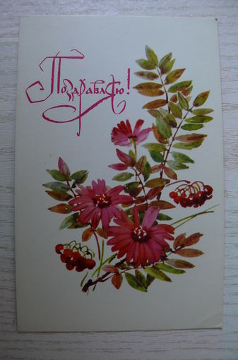 Кирпичева Н., Поздравляю! 1974, подписана.