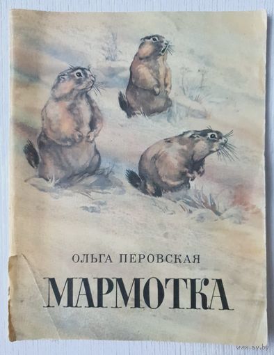 Мармотка | Перовская Ольга Васильевна