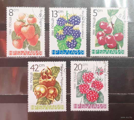 Болгария. 1984 год. Флора. Ягоды (1572)