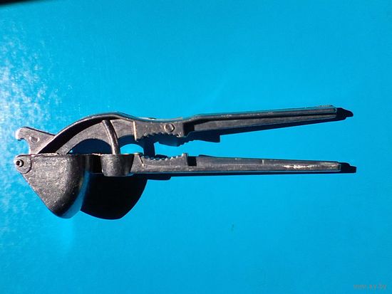 Чесночница.