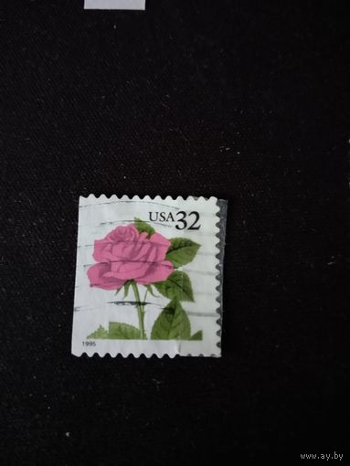 США   1995
