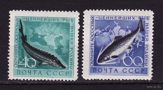 СССР 1959  Охрана морской фауны