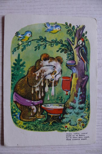 Зотов К., Мишка умывается; 1968, чистая.