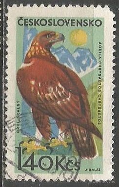 Чехословакия. Птицы. Чечётка обыкновенная. 1965г. Mi#1570.