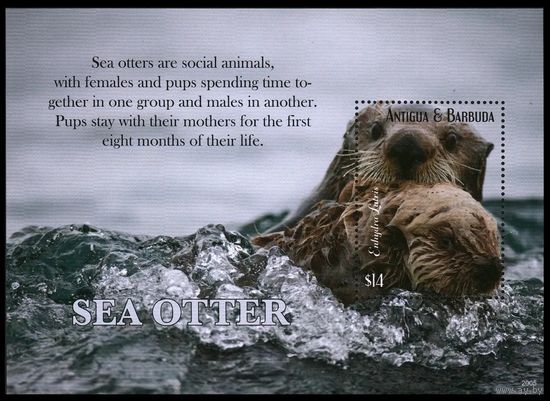 2020 Антигуа и Барбуда 5841/B810 Морская фауна - Морская выдра 12,50 евро