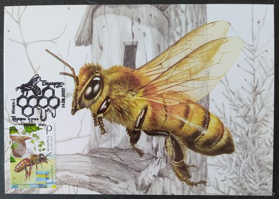 Беларусь 2020 КМ пчеловодство.