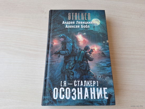 Осознание - Сталкер Левицкий, Бобл