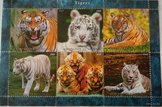 СЕРИЯ Блоков кошки собаки тигры  фауна  MNH