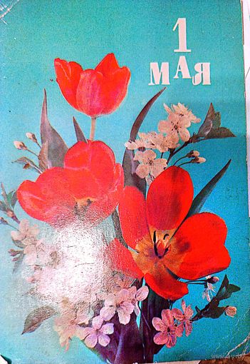 1 мая, подписанная