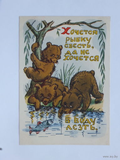 Носов хочется рыбку съесть 1956   10х15 см
