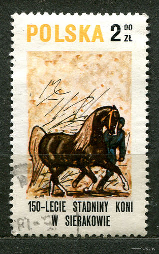 Лошади. Конный спорт. Польша. 1980