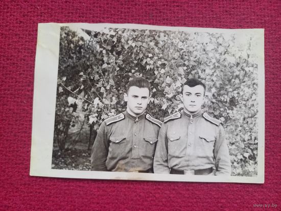 Фотография курсанты
