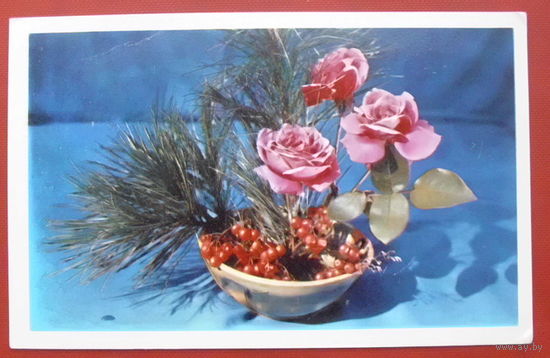 С Новым годом! Чистая. Фото Вартапетян. 1976 года. 790.