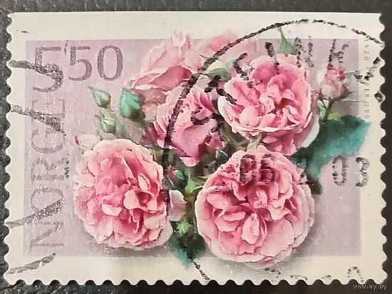 Норвегия 2003. Флора. Цветы. Роза