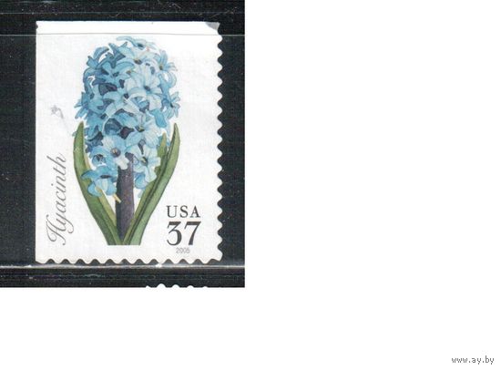 США-2005 (Мих.3917 ВЕ) , * (без клея), Цветы