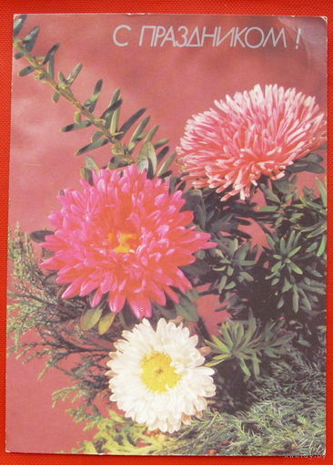 С Праздником! Подписанная. 1990 года. Круцко. # 255.