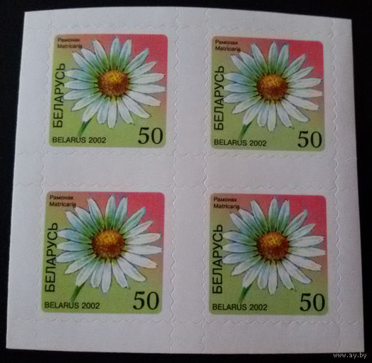 Стандарт 2002. Цветы. Ромашка. 50. з. 461ц-2003. Квартблок (A)