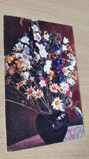 Открытка. Букет колокольчики и ромашки. 1970 год