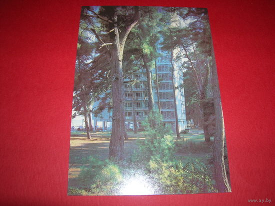 Абхазия Пицунда Пансионат 1989 год чистая