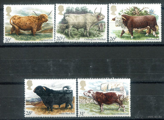 Великобритания - 1984г. - британские породы крупнорогатого скота - 5 марок - полная серия, MNH [Mi 979-983]. #3-GB-Z-1-15
