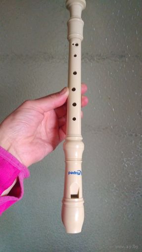 Блок флейта. Музыкальный инструмент. Франция. Maped.