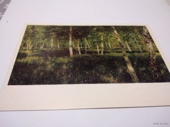 Открытка 1978г. Чистая. И. Левитан. Берёзовая роща.