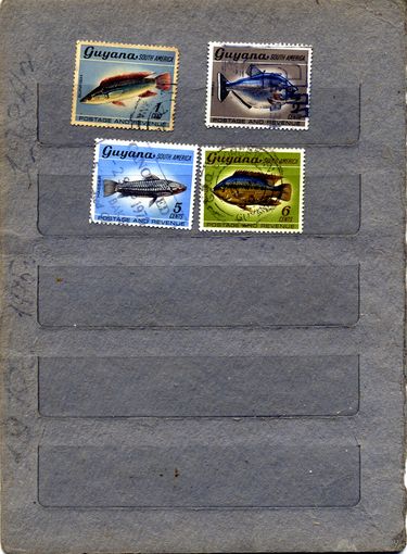 Гайана, ,  РЫБЫ    4м гашен