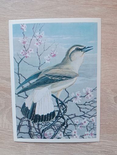 Егоров 1984 чистая