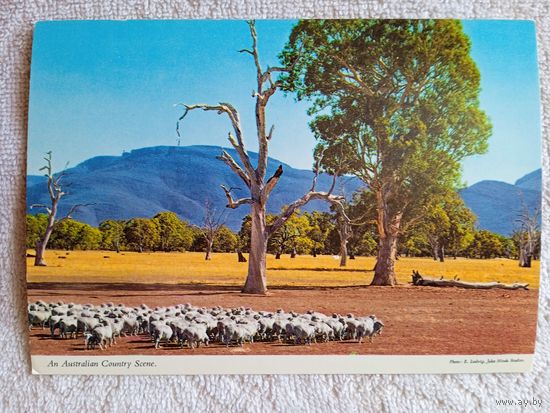 Австралия. Сельская сцена