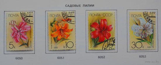 Ссср
