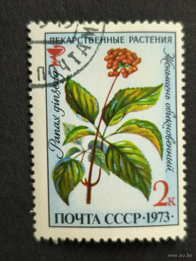1973 СССР. Лекарственные растения. Женьшень обыкновенный