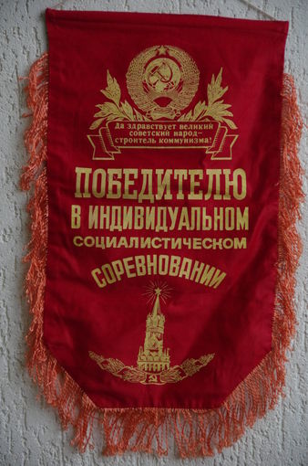 Вымпел  ( 40 х 68 )