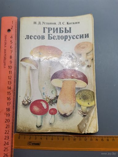 Книга Грибы лесов Белоруссии
