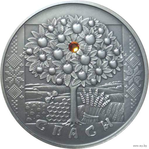 20 рублей 2009 Республика Беларусь, Спасы (Спасы), Ag