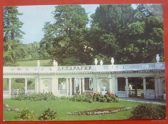 Сочи. Вход в парк " Дендрарий ". Чистая. 1978 года. 948.