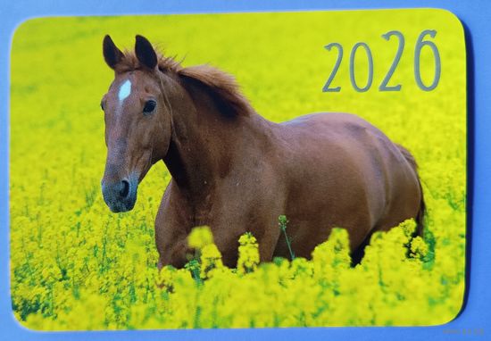 Лошадь. Календарик, глянец, 2026. Траско
