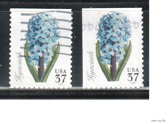 США-2005 (Мих.3917 BD+ВЕ) , гаш., Цветы, зубцовки