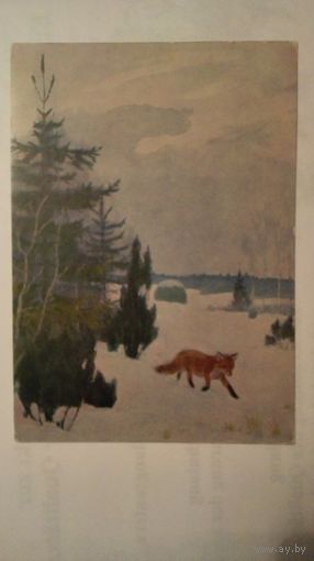 Звери. Соцреализм 1956. Никольский. Лиса