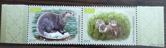 2019 Выдра Казахстан