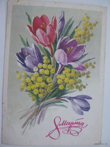 8 марта   1981г