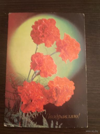 Открытка,поздравляю,Костенко