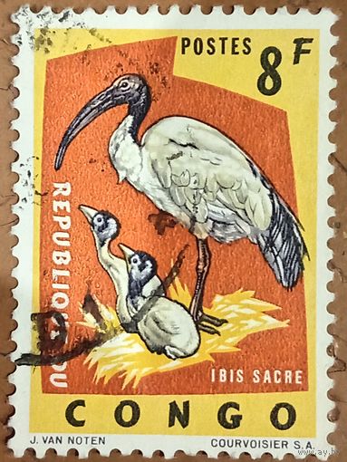 Конго. Фауна. Птицы. Ibis Sacre
