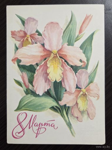 Пикунов 8 марта 1979 чистая открытка СССР