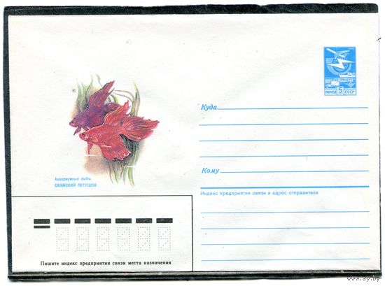 СССР 1987. ХМК. Конверт. Аквариумные рыбки. Сиамский петушок
