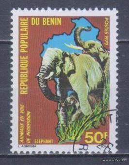 [2125] Бенин 1979. Фауна.Африканский слон. Концовка серии.Гашеная марка.