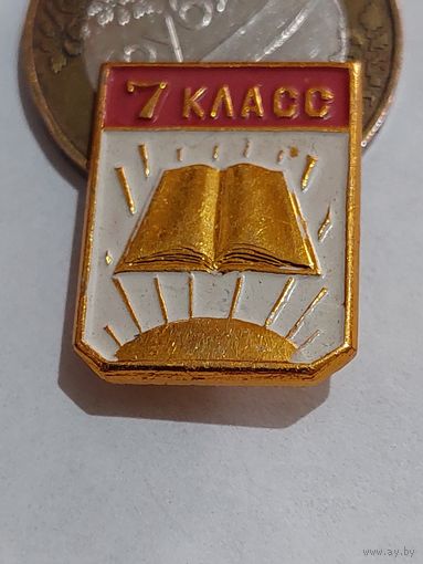 Значок " 7 класс "