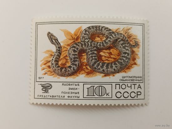 1977 СССР. Фауна. Щитомордник обыкновенный
